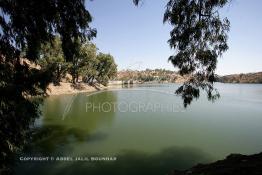 Image du Maroc Professionnelle de  Le Barrage Machraa Hamadi dont la capacité est de 42 Millions de m3, est construit sur l'Oued Moulouya, il permet, depuis 1956, d'approvisionner la région et d'irriguer les terres de cultures, ce barrage fournit en eau potable les ville de Nador, Oujda, il permet également l'approvisionnement des centre de Taourirte et El Aïoun Sidi Mellouk. Samedi 1er octobre 2005. (Photo / Abdeljalil Bounhar) 